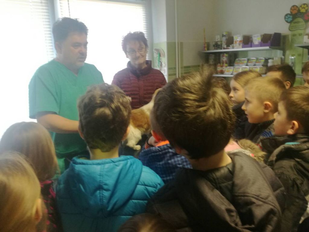 img0c4decf6685c8f31267d6aca89b1