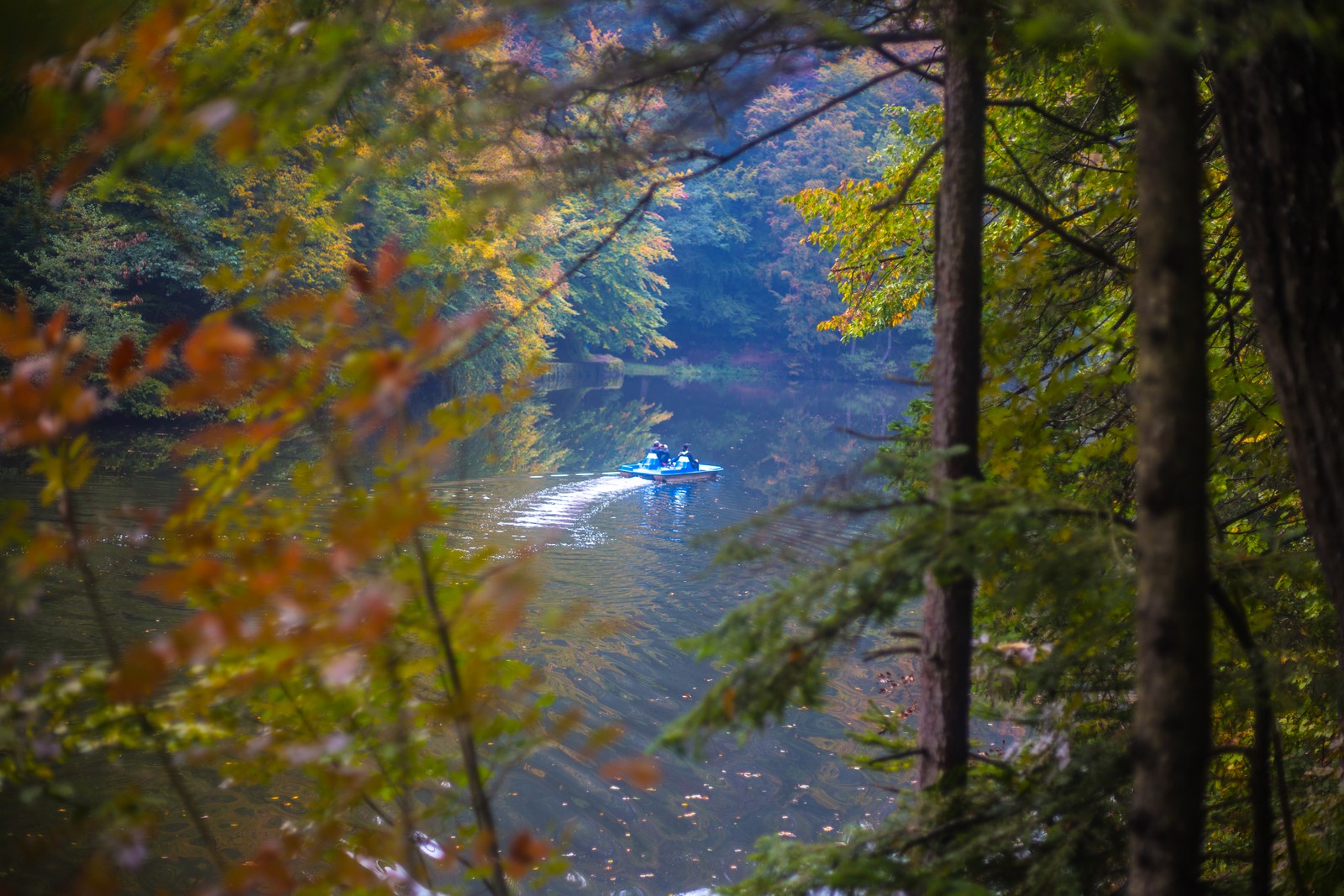 Jesen u Trakošćanu