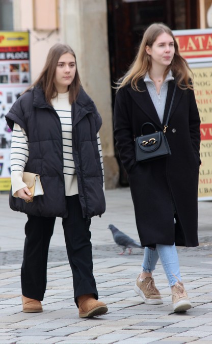 Image 5627727 (auto)