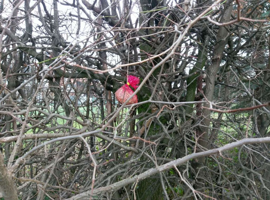 img821efde133bdd6a5dee473aeb45a