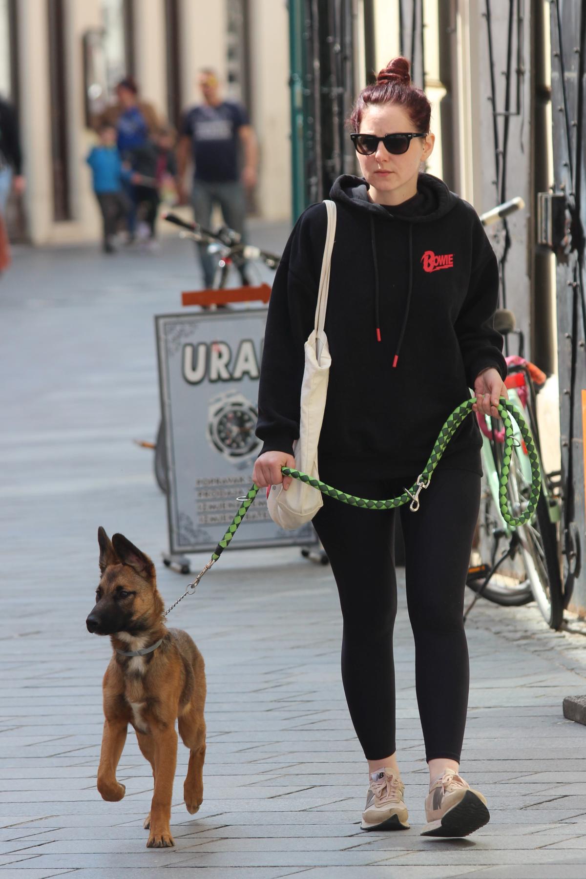 Image 5684079 (auto)