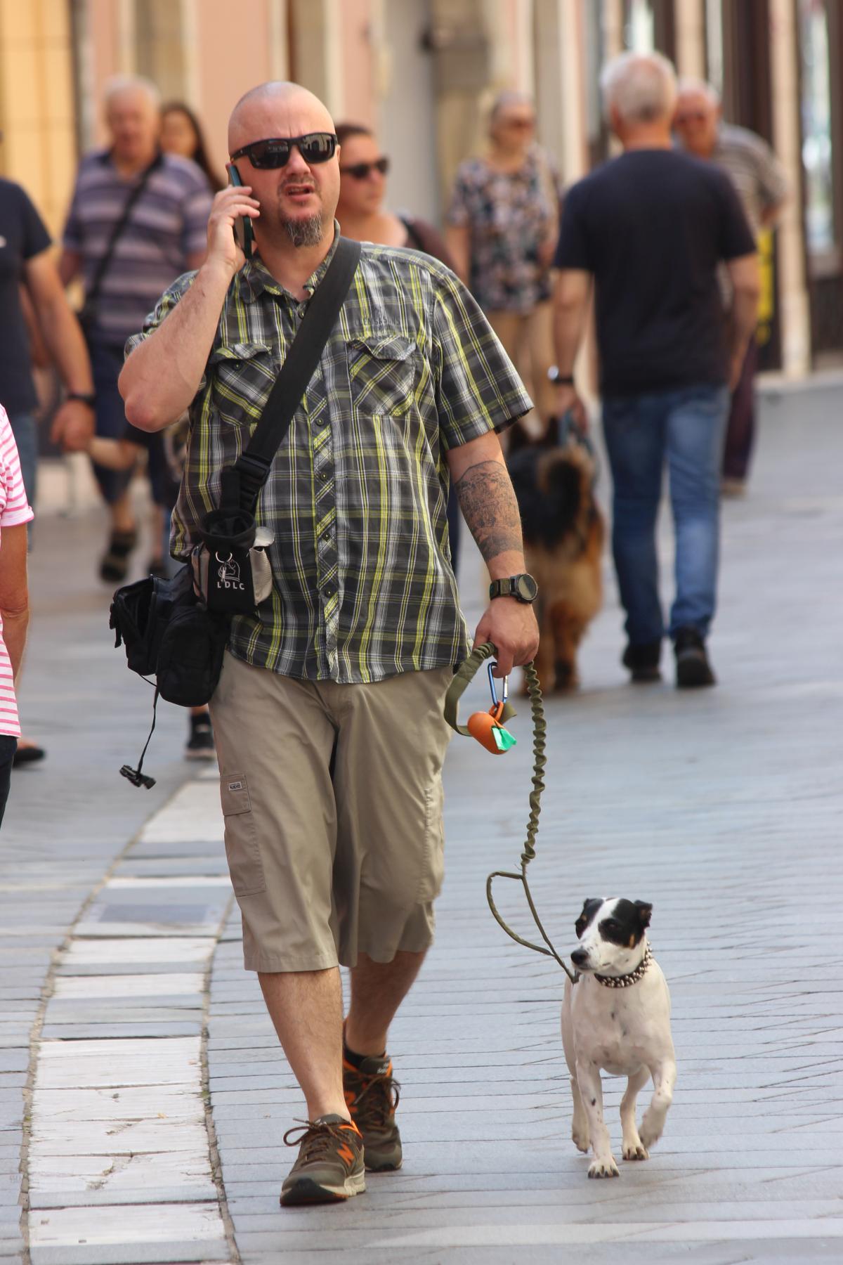 Image 5752907 (auto)