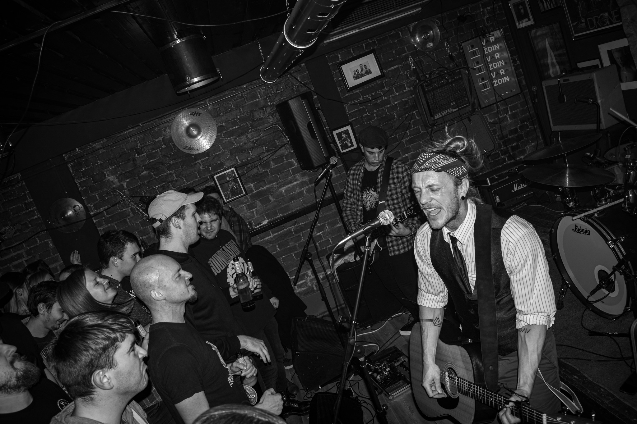 Dodger Artfool The Vipers