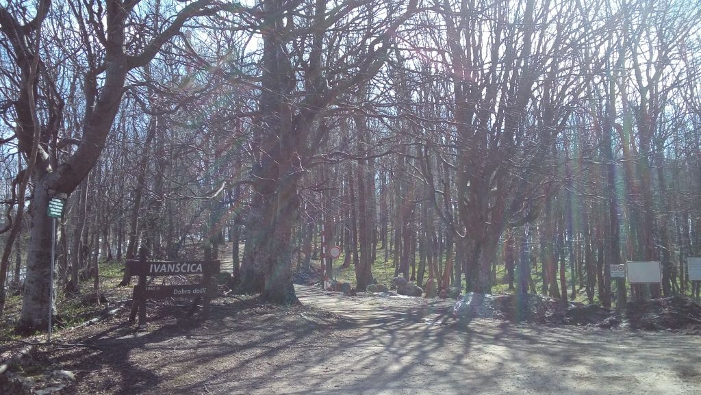 20150411103006579037