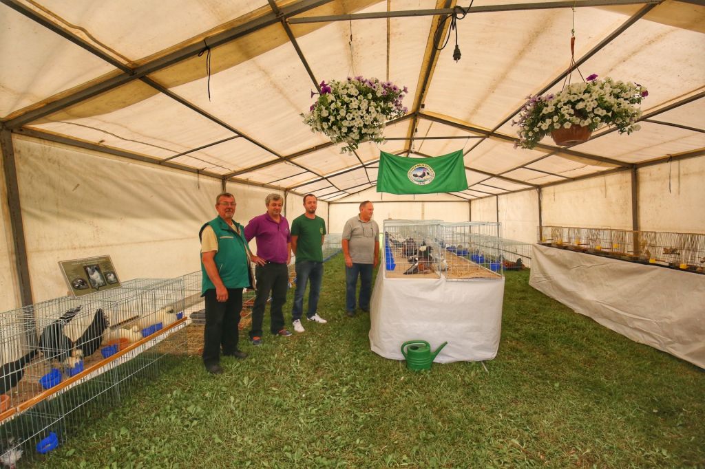 20180615114919img470601759733