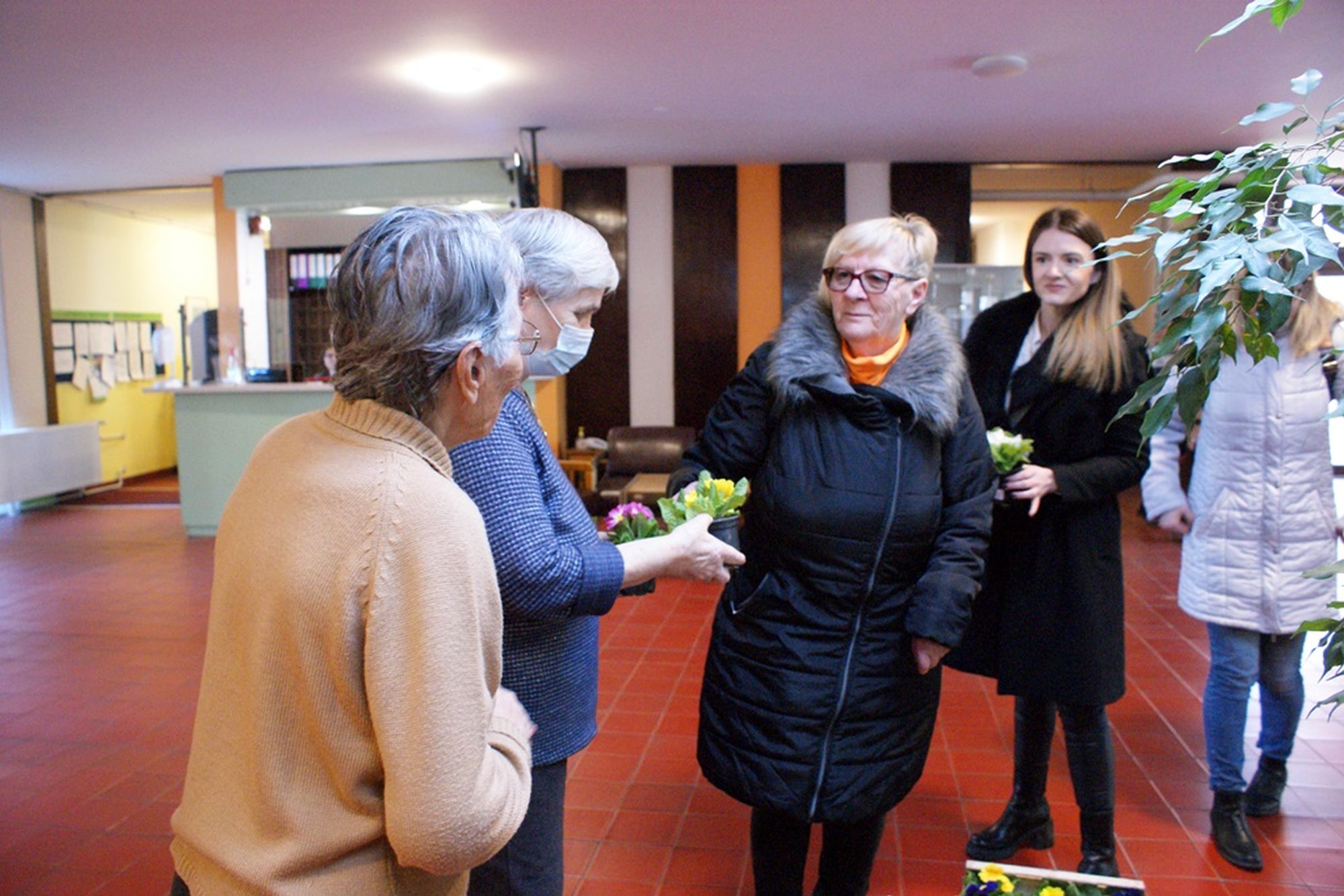 Image 5621913 (auto)