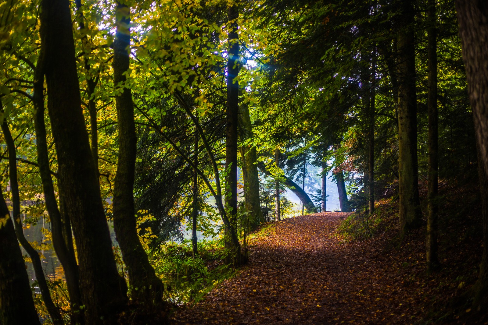 Jesen u Trakošćanu