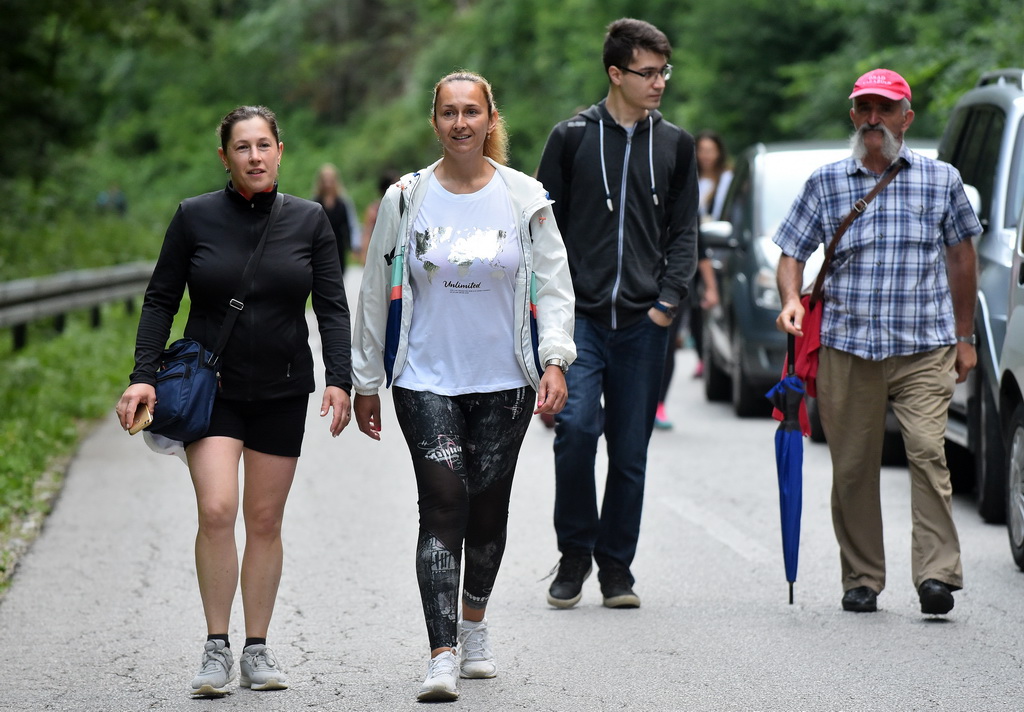 Image 4542362 (auto)