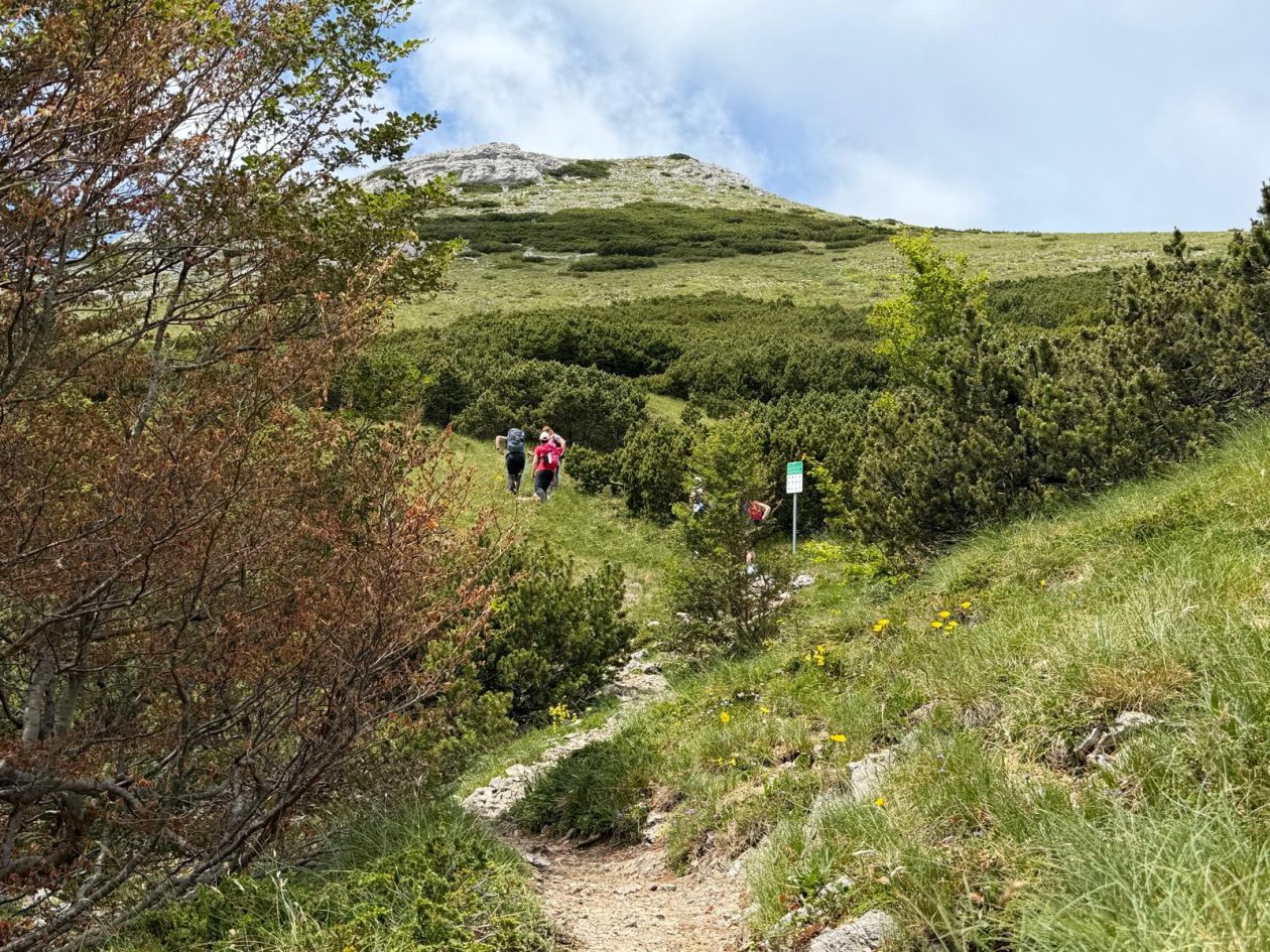 060626_pohod Velebit_12 060626_pohod Velebit_12