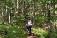 060626_pohod Velebit_15 060626_pohod Velebit_15