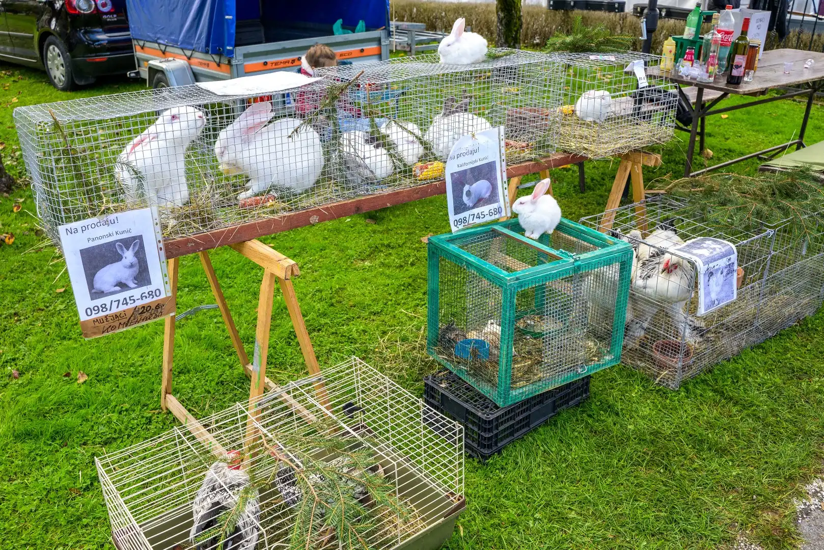 061024-cieselska-nedela-marusevec-41 (Large)