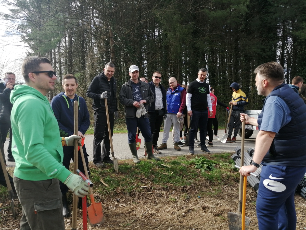 sadnja drveća u Zelendvoru