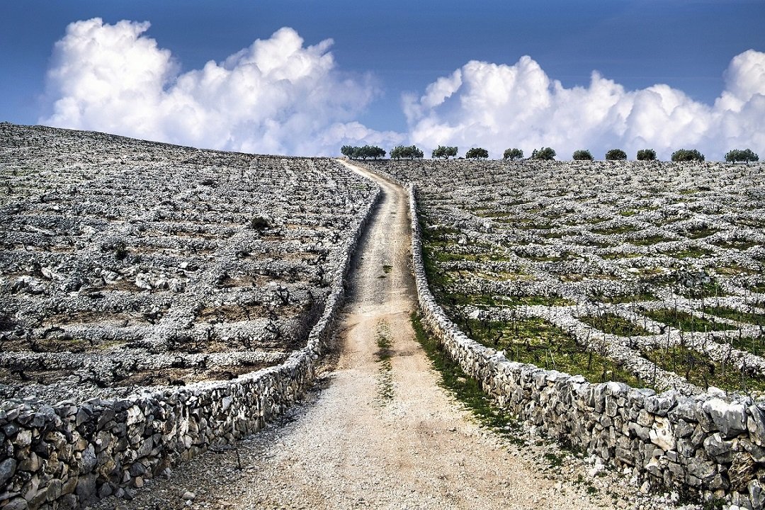 07 Prva nagrada – Tomislav Veić, Carstvo babića