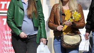 Dan narcisa Dan narcisa