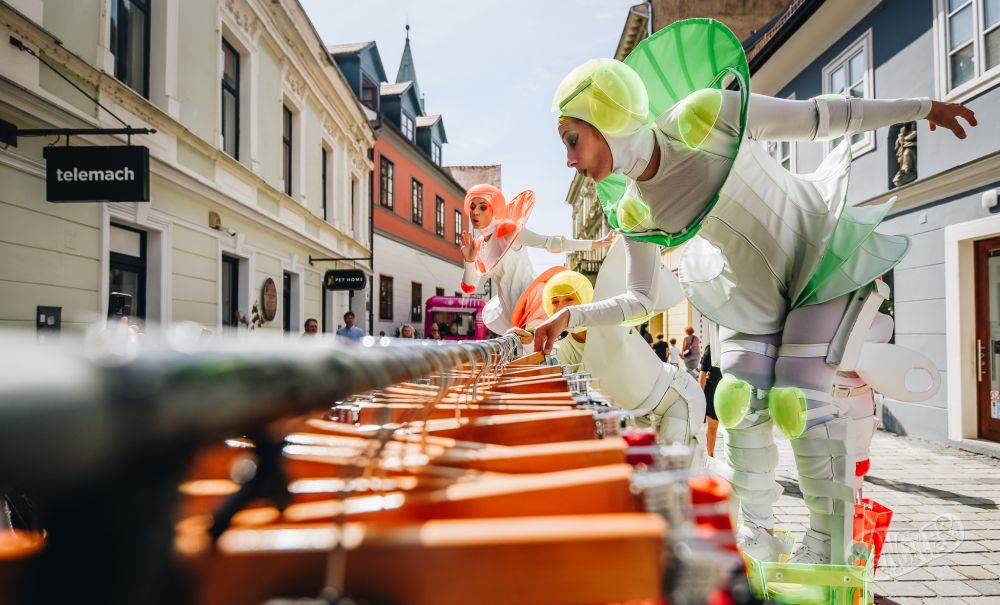 Image 5817001 (auto)