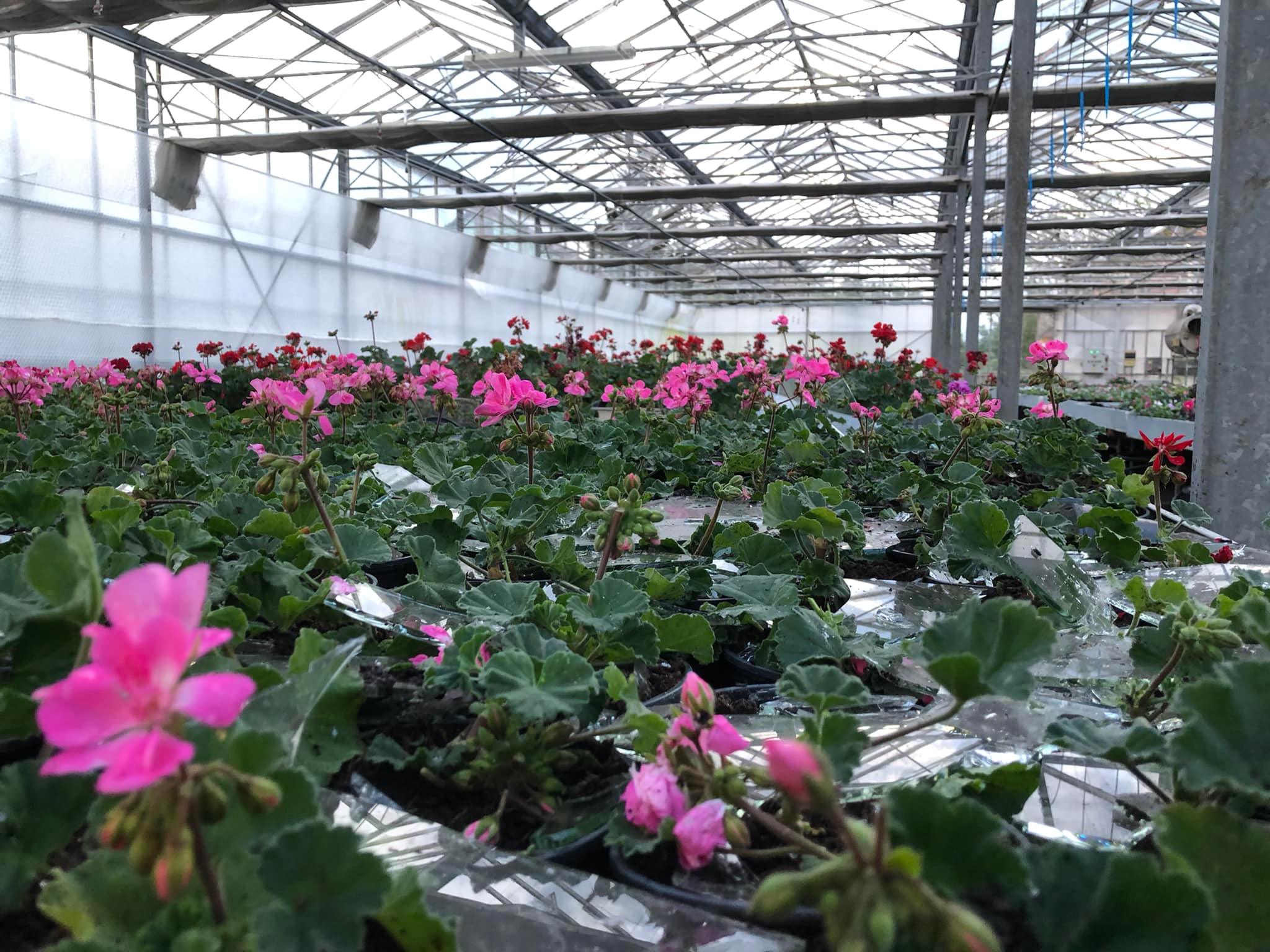 Tuča Veliki Bukovec