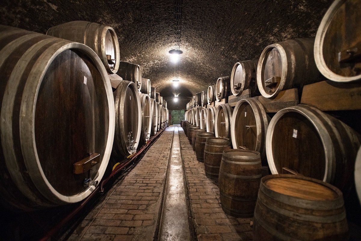 08 Druga nagrada – Domagoj Sever, Iločki podrumi