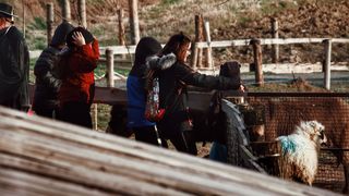 Image 4112853 (auto) Image 4112853 (auto)