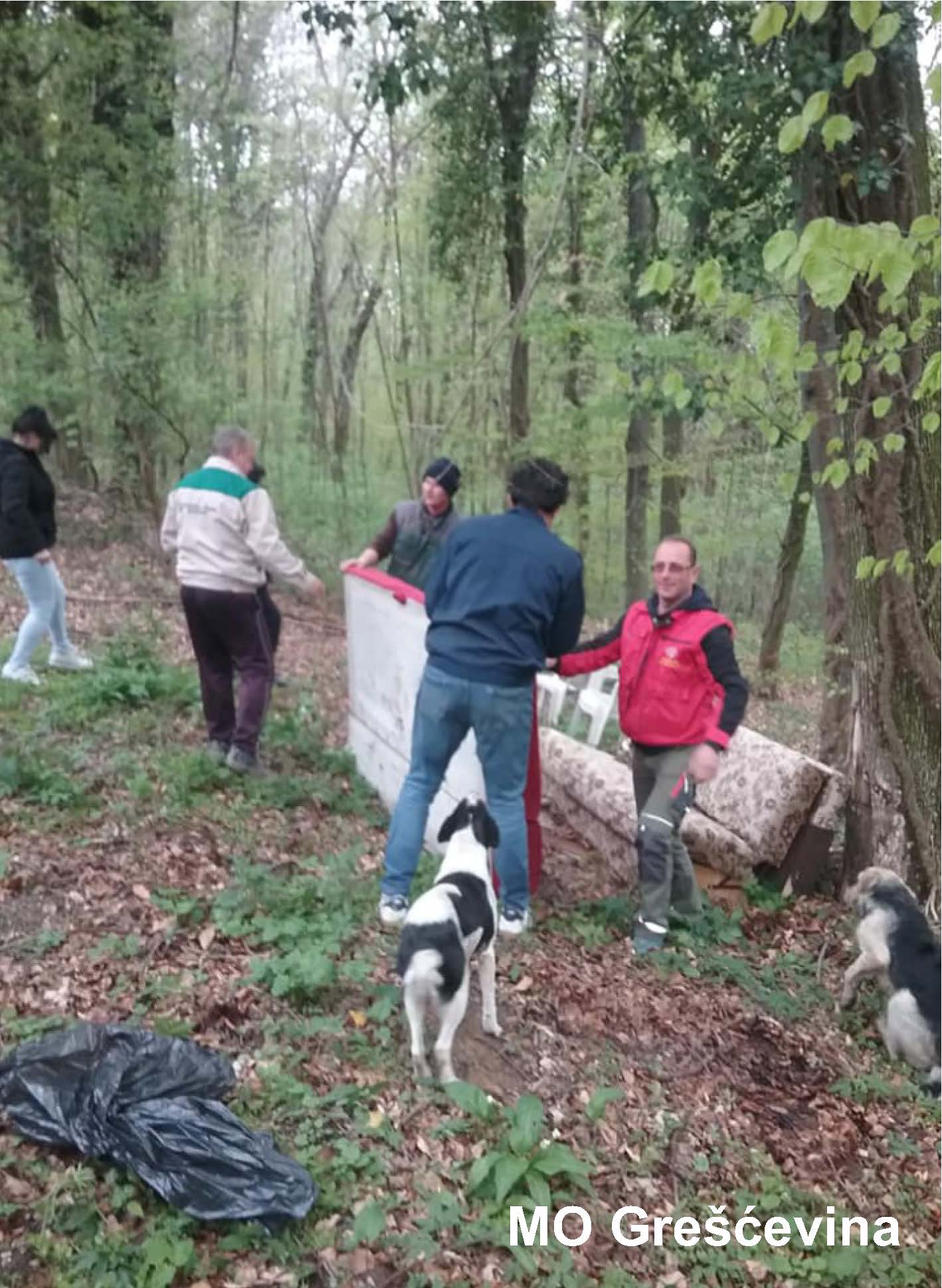 Image 3553225 (auto)