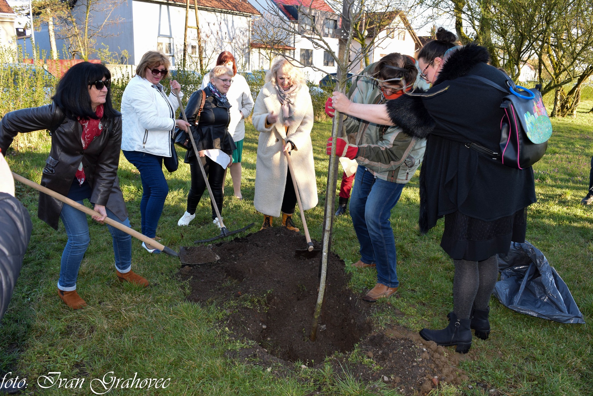 Image 5642405 (auto)