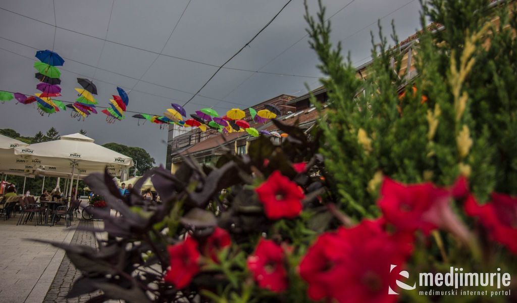 1363286410209095661725646613547