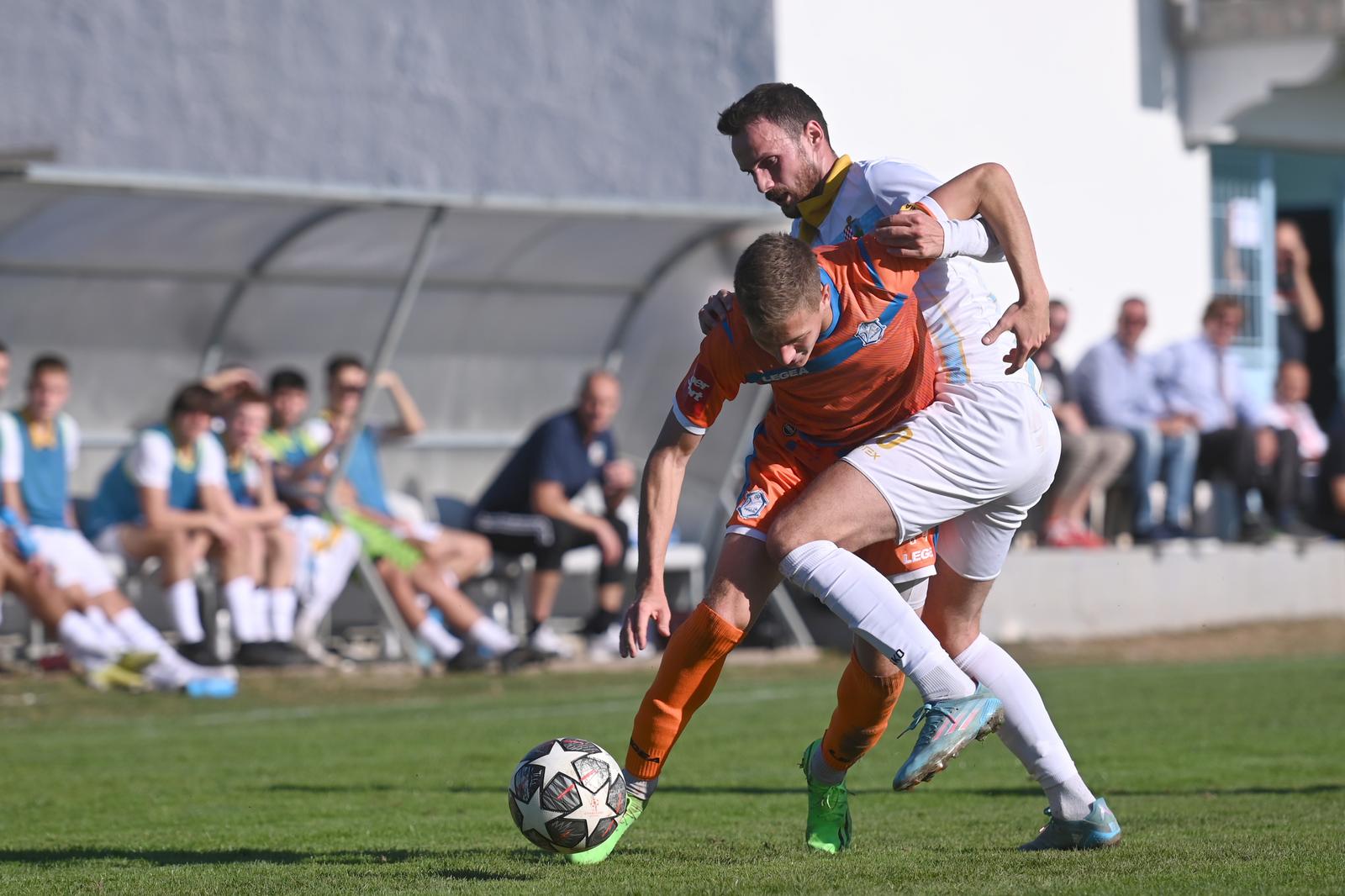 Image 5503364 (auto)