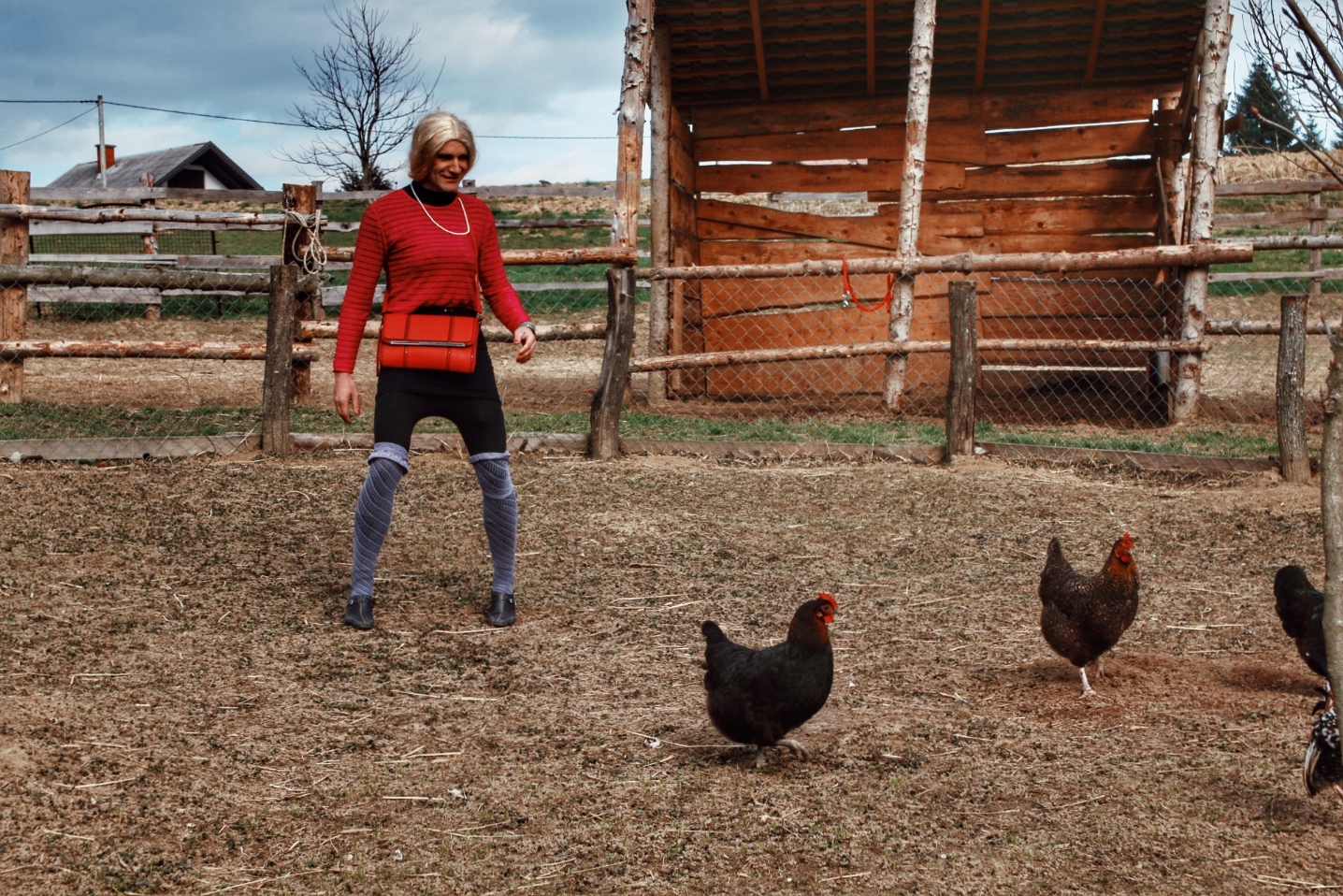 Image 4112793 (auto) Image 4112793 (auto)