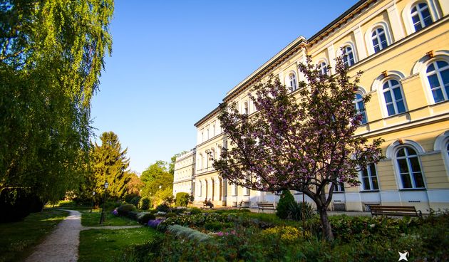 Proljeće, cvijeće, prognoza, grad