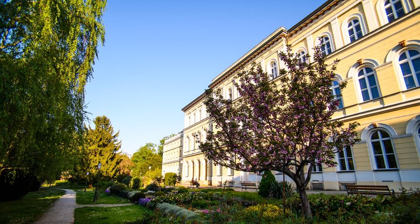 Proljeće, cvijeće, prognoza, grad Proljeće, cvijeće, prognoza, grad