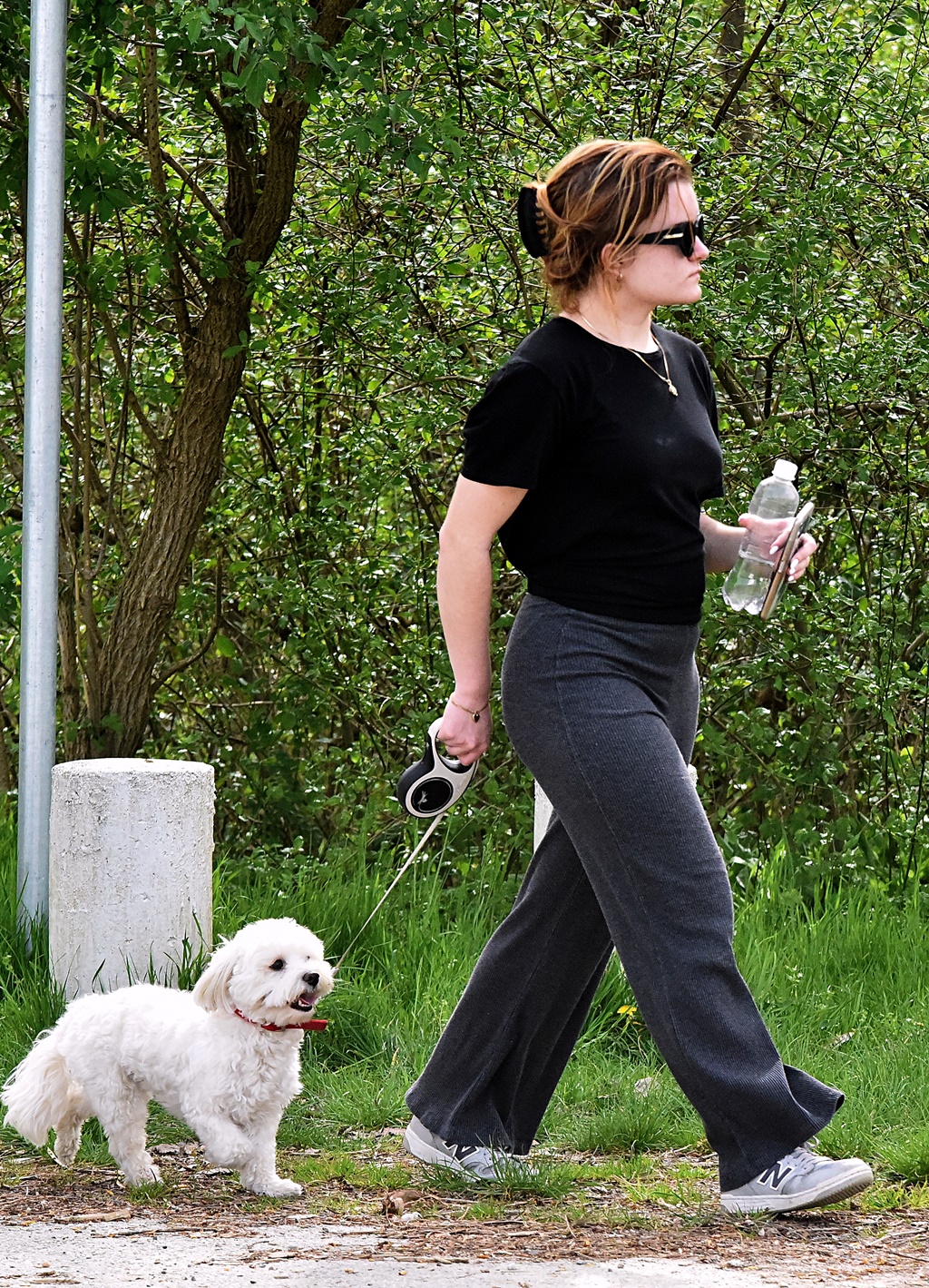 Image 6004925 (auto)