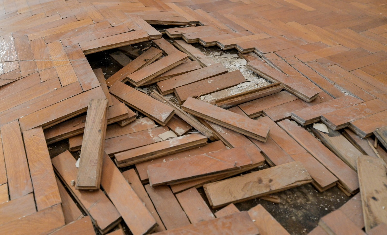 Image 5425484 (auto)