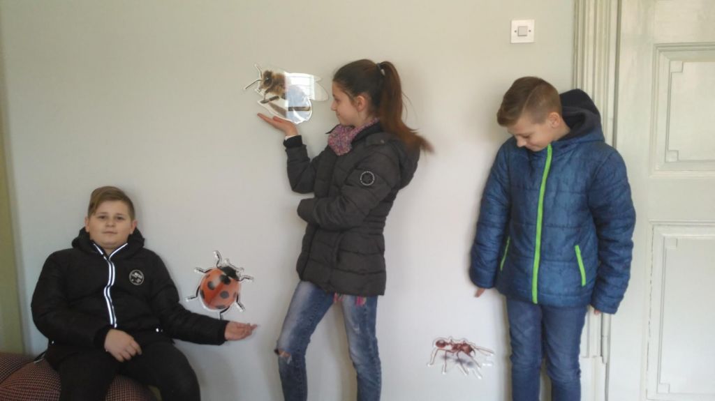 img20180323122507601145