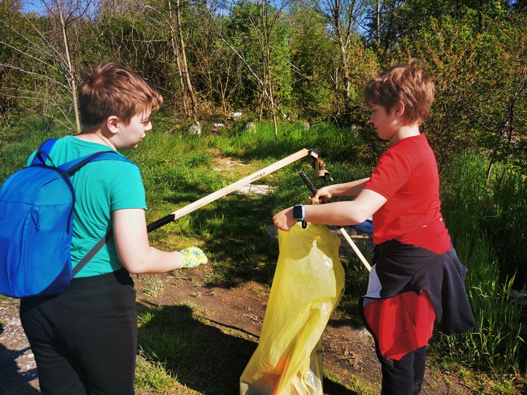 Image 5666879 (auto)