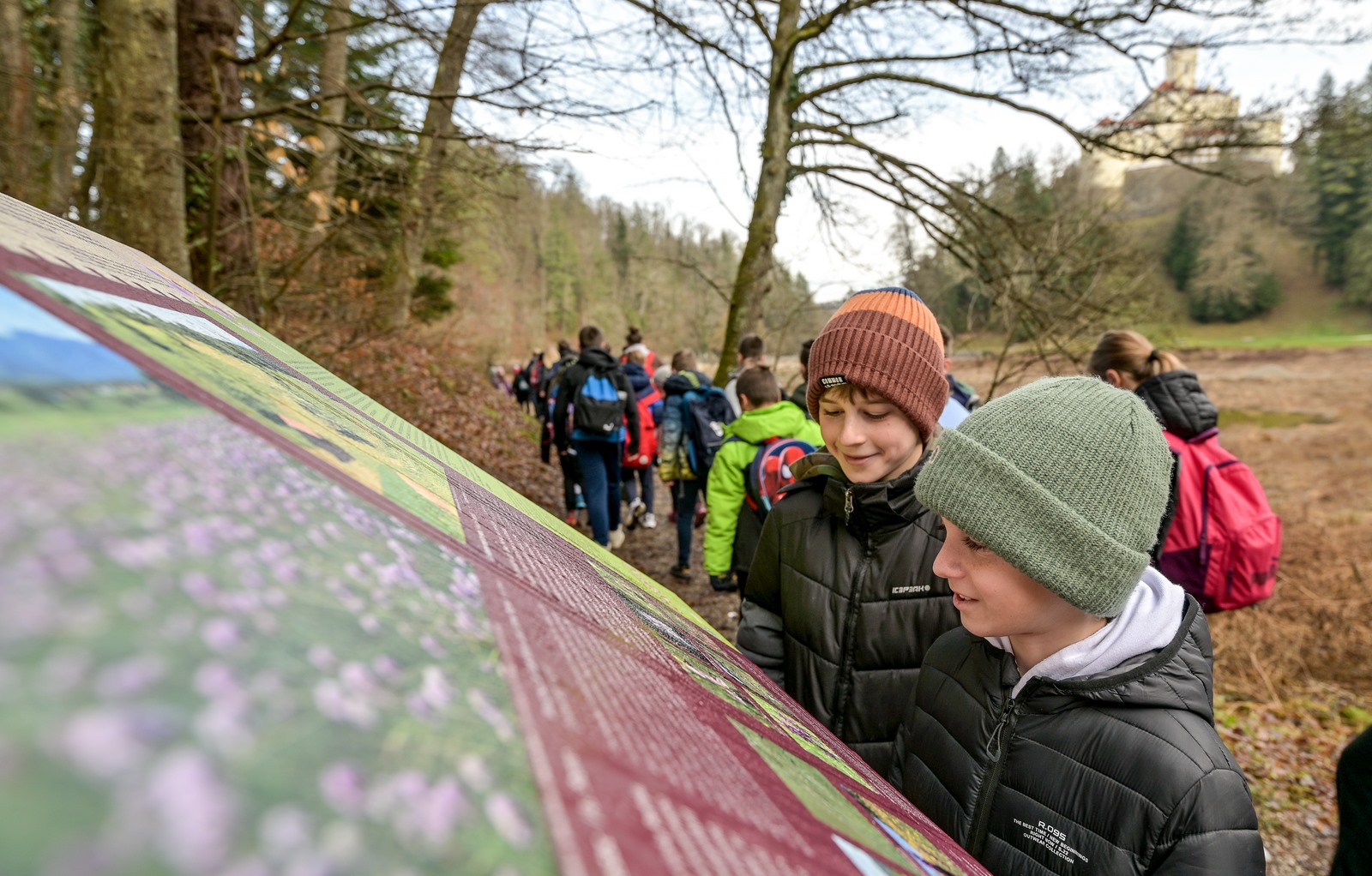 Image 5580859 (auto)