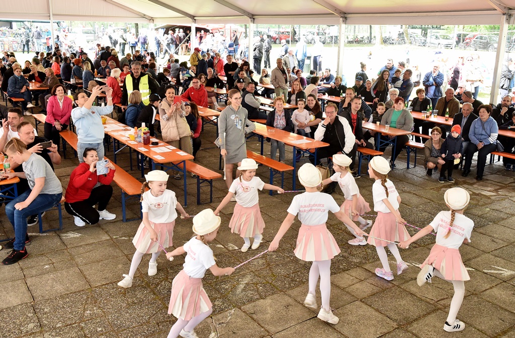 Image 5678215 (auto)