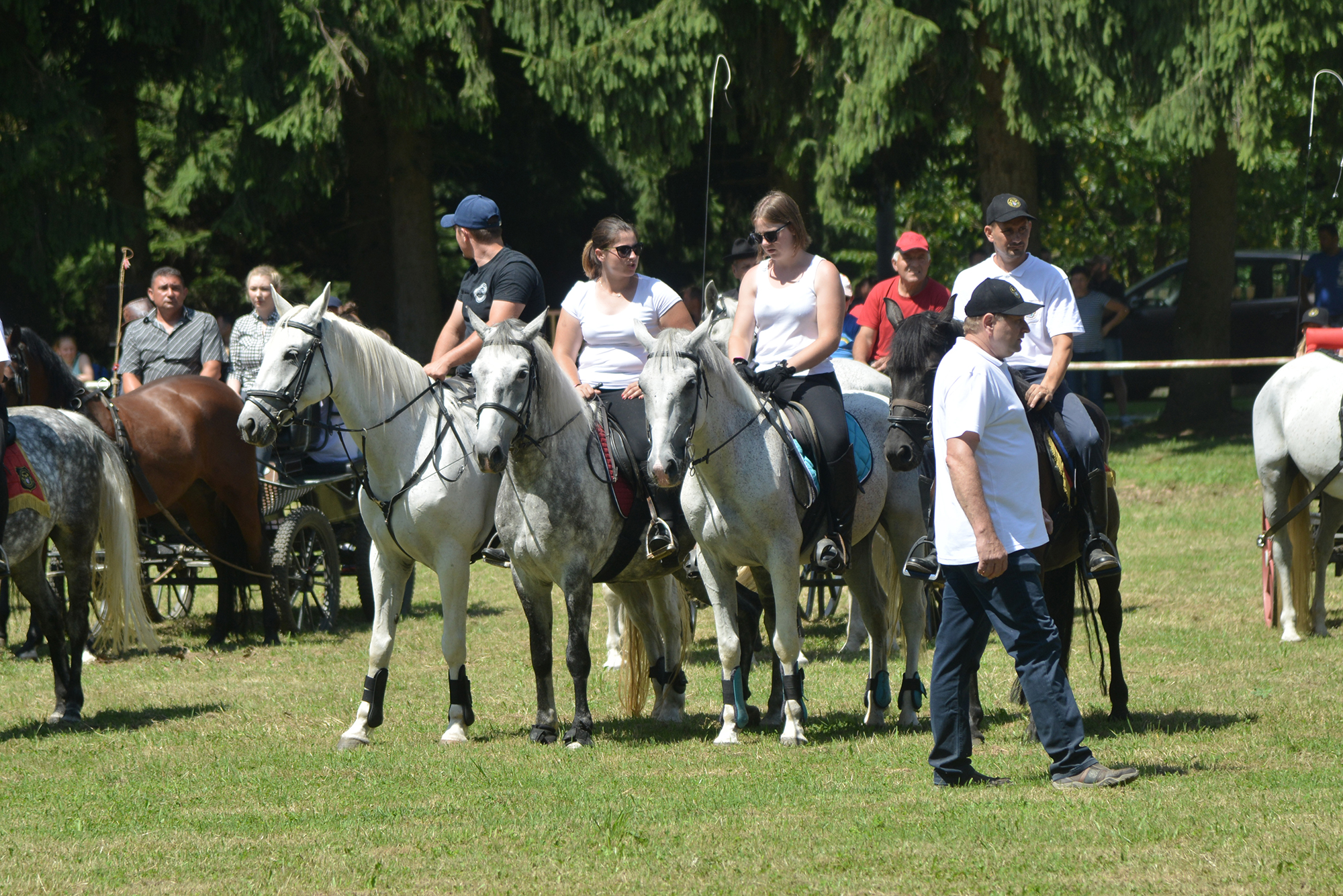 Konjičke i igre u Zelendvoru Konjičke i igre u Zelendvoru