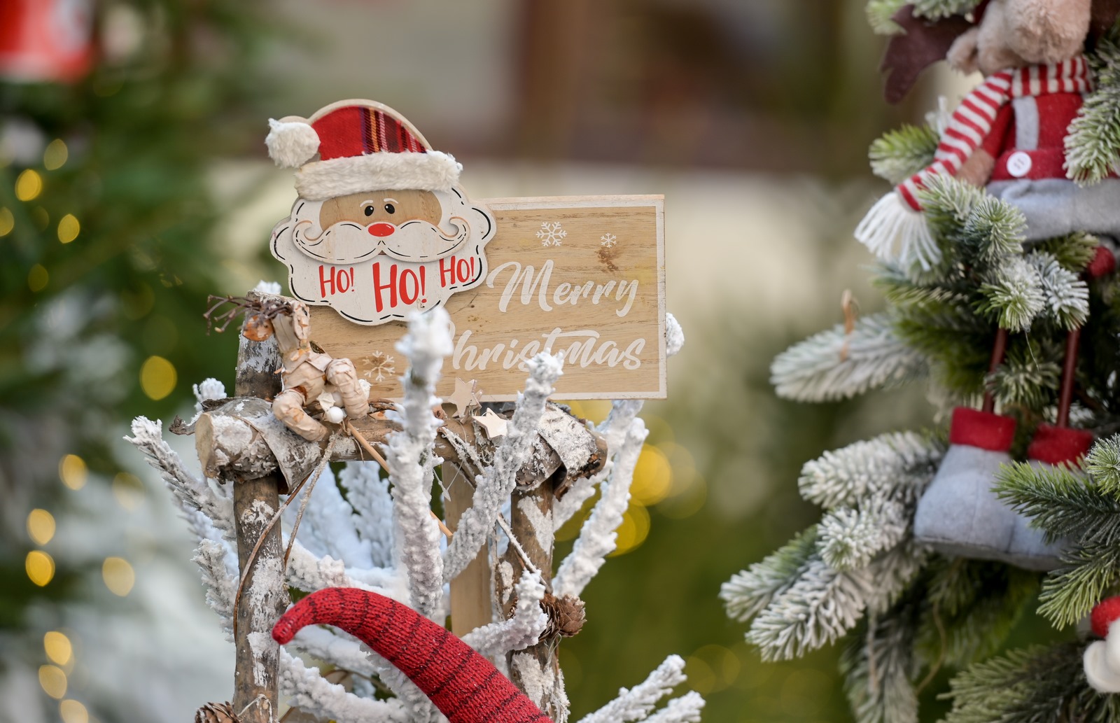 Image 5532580 (auto)