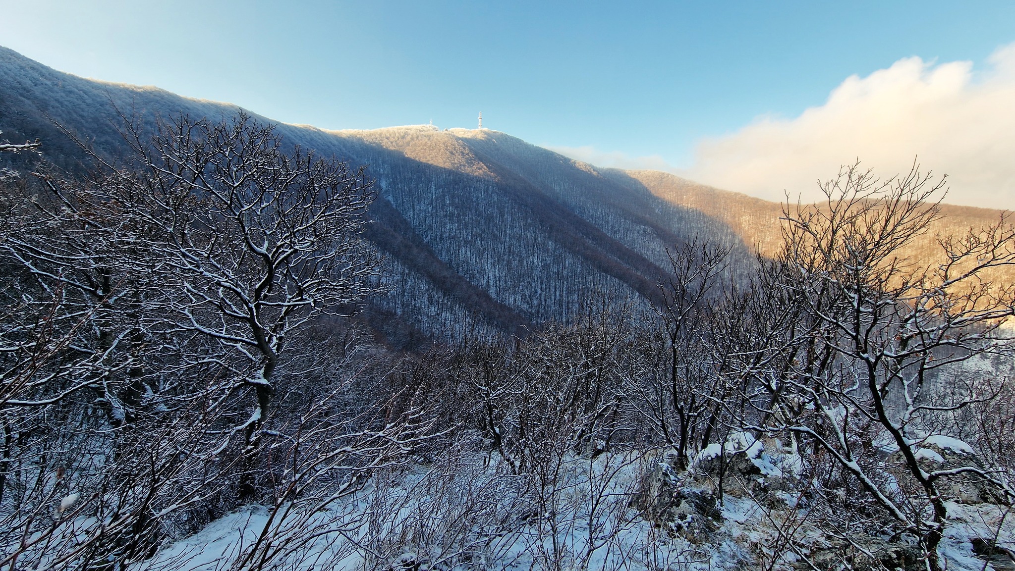 Image 5565693 (auto)