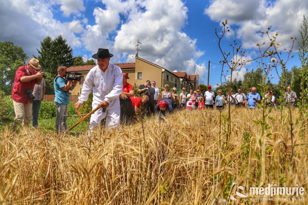 1971853110212312052973417247124