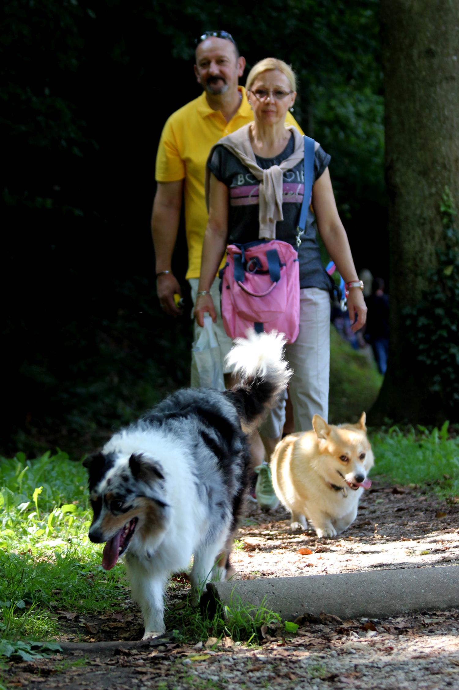Trakošćan na Veliku Gospu Trakošćan na Veliku Gospu