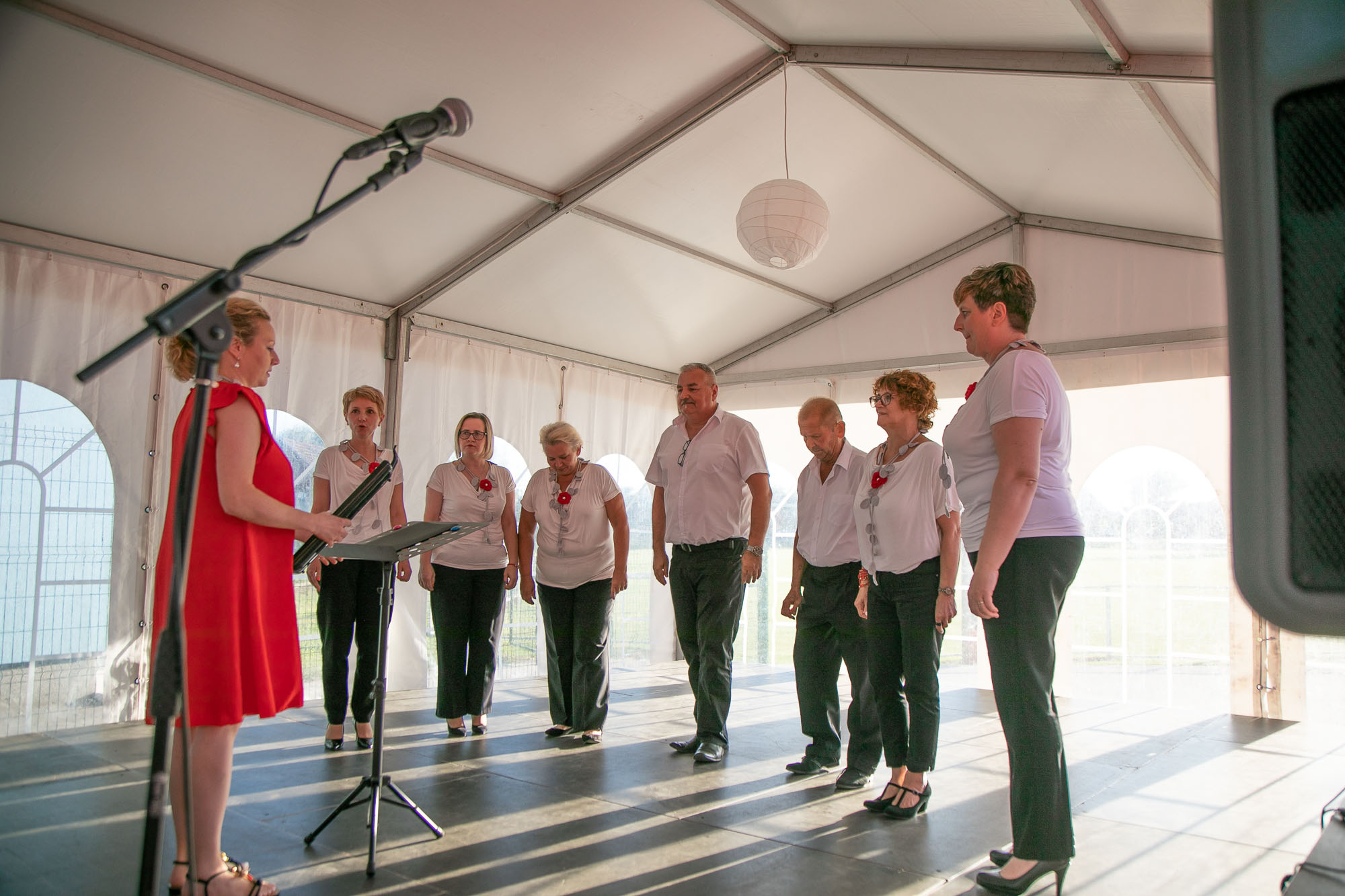 Image 5417366 (auto)