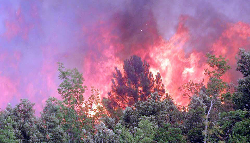 peljesacvatrogasci14881766