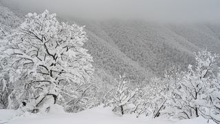 Ivanščica snijeg zima prognoza planina šuma