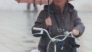 Image 5537204 (auto)