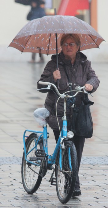 Image 5537204 (auto)