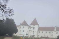 1000025861 1000025861