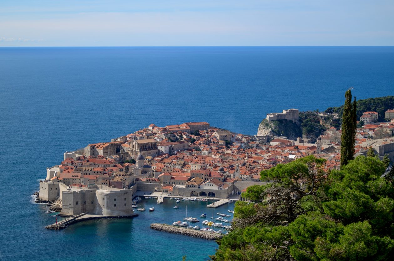 1000187859 1000187859