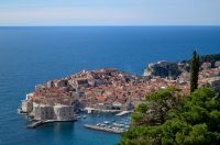 1000187859 1000187859