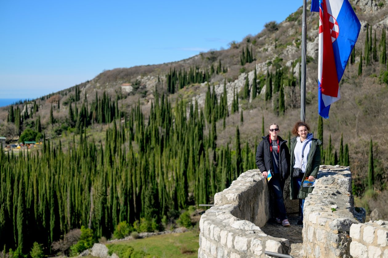 1000187860 1000187860