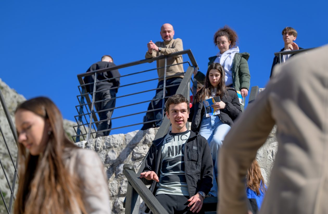 1000187861 1000187861